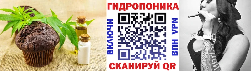 Cannafood конопля  Купить закладки  Долинск 