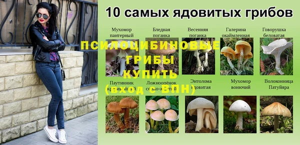 MDMA Premium VHQ Бородино