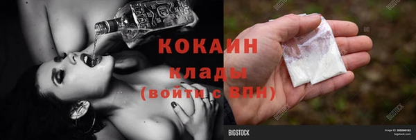 крисы Бронницы