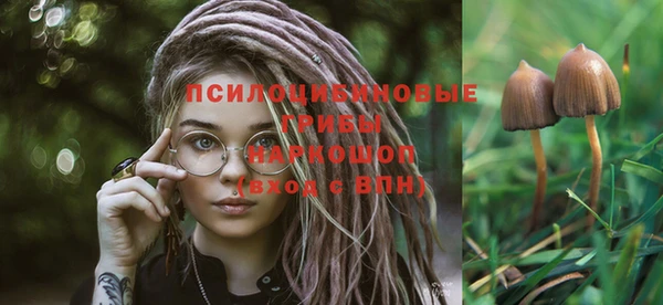 крисы Бронницы