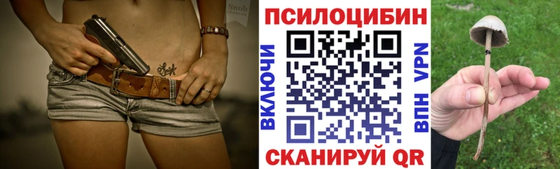Купить закладки  Долинск  Псилоцибиновые грибы Cubensis 